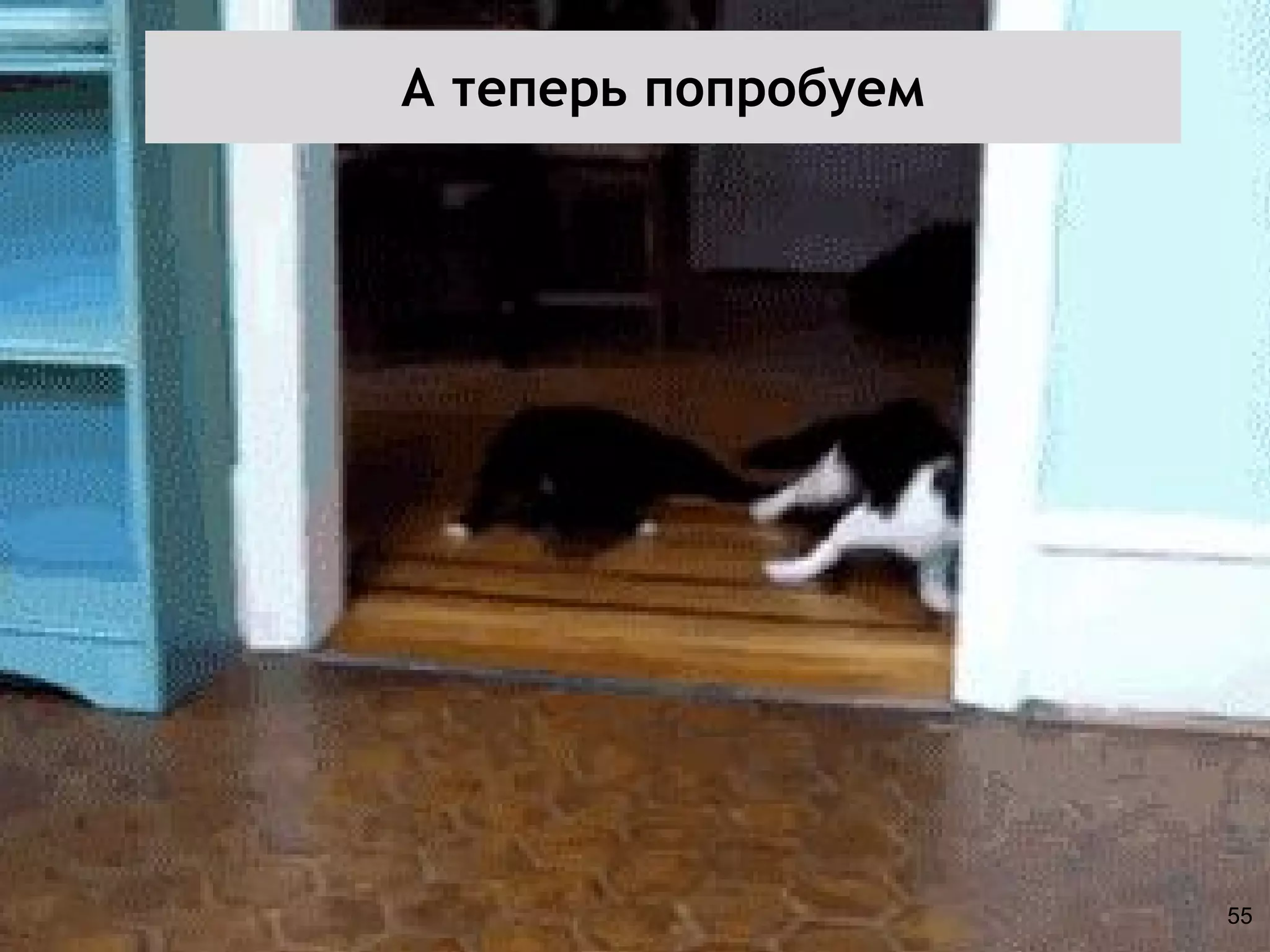 А теперь попробуем
55
 