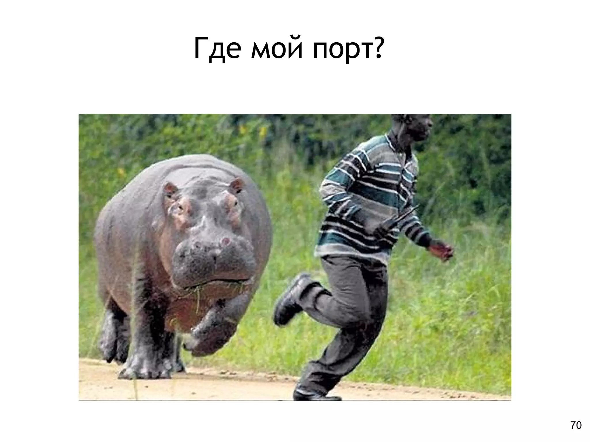 Где мой порт?
70
 