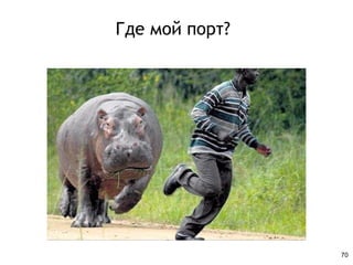 Где мой порт?
70
 