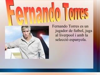 [object Object],Fernando Torres 