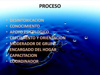 PROCESODESINTOXICACIONCONOCIMIENTOAPOYO PSICOLOGICOCRECIMIENTO Y ORIENTACIONMODERADOR DE GRUPOENCARGADO DEL HOGARCAPACITACIONCOORDINADOR