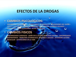 EFECTOS DE LA DROGASCAMBIOS PSICOLOGICOS:DESORDENES EMOCIONALES - TRANSTORNOS DE CONDUCTA - ALTERACIONES DEL SUEÑO – DESMOTIVACION - DETERIORO DE MEMORIA – PERCEPCION - CAMBIOS SOCIALES – CONFLICTOS - CRISIS ECONOMICA - ACTOS DELICTIVOSCAMBIOS FISICOSENFERMEDADES CARDIACAS - DAÑO EN EL SISTEMA NERVIOSO CENTRAL - ENFERMEDADES RESPIRATORIAS - PROBLEMA ESTOMACALES, PANCREAS E HIGADO - DETERIORO SISTEMA MUSCULAR- ALTERACIONES EN LA VIDA SEXUAL