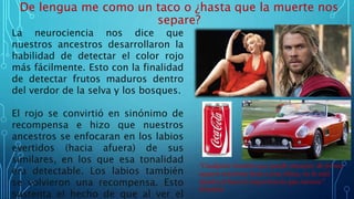 De lengua me como un taco o ¿hasta que la muerte nos
separe?
"Cualquier hombre que puede manejar de forma
segura mientras besa a una chica, no le está
dando al beso la importancia que merece".
Einstein.
La neurociencia nos dice que
nuestros ancestros desarrollaron la
habilidad de detectar el color rojo
más fácilmente. Esto con la finalidad
de detectar frutos maduros dentro
del verdor de la selva y los bosques.
El rojo se convirtió en sinónimo de
recompensa e hizo que nuestros
ancestros se enfocaran en los labios
evertidos (hacia afuera) de sus
similares, en los que esa tonalidad
era detectable. Los labios también
se volvieron una recompensa. Esto
sustenta el hecho de que al ver el
 