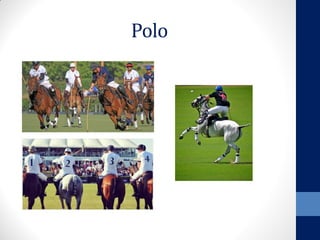 Polo
 