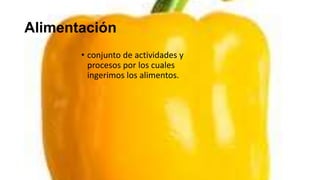 Alimentación
       • conjunto de actividades y
         procesos por los cuales
         ingerimos los alimentos.
 