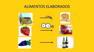 ALIMENTOS ELABORADOS
 