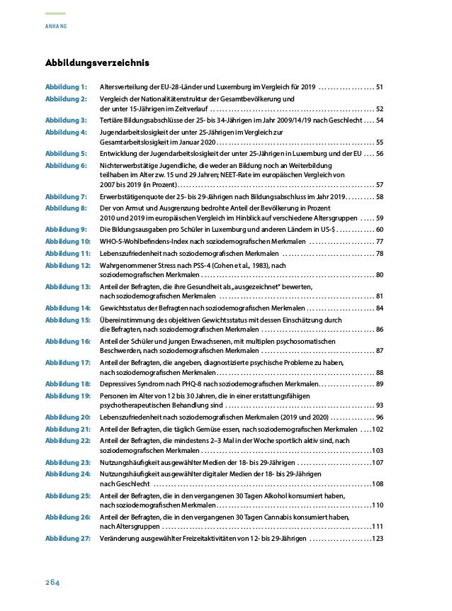 Rapport sur la situation de la jeunesse 2020