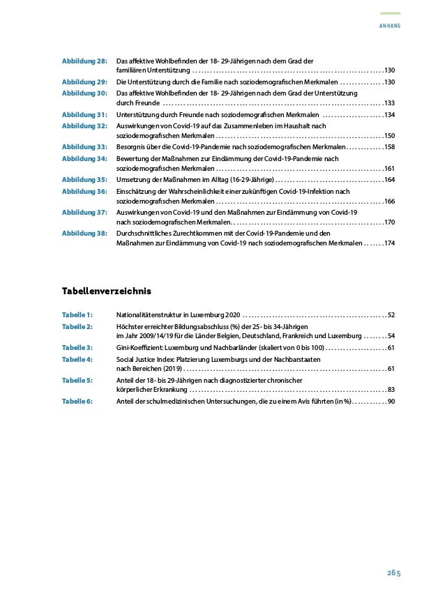 Rapport sur la situation de la jeunesse 2020