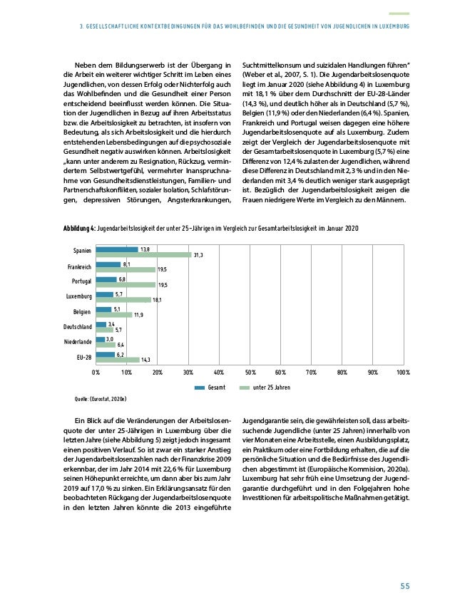 Rapport sur la situation de la jeunesse 2020