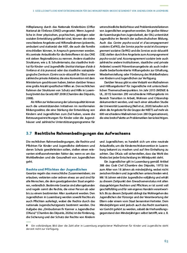 Rapport sur la situation de la jeunesse 2020