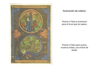 Ilustración de códice:
Píramo y Tisbe se enamoran
pese al muro que los separa.
Píramo y Tisbe yacen juntos,
muertos ambos, con el león de
fondo.
 