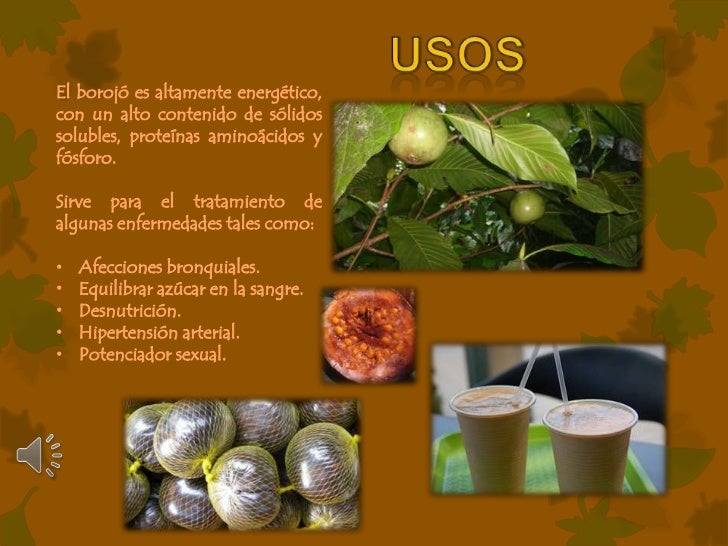 Jugo de borojo para adelgazar
