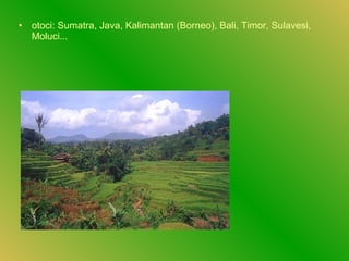 • otoci: Sumatra, Java, Kalimantan (Borneo), Bali, Timor, Sulavesi,
Moluci...
 