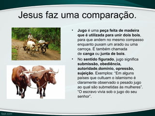 Jesus faz uma comparação.
• Jugo é uma peça feita de madeira 
que é utilizada para unir dois bois,
para que andem no mesmo compasso
enquanto puxam um arado ou uma
carroça. É também chamada
de canga ou junta de bois.
• No sentido figurado, jugo significa
submissão, obediência, 
autoridade,domínio, opressão, 
sujeição. Exemplos: “Em alguns
países que cultuam o islamismo é
claramente observado o pesado jugo
ao qual são submetidas às mulheres”.
“O escravo vivia sob o jugo do seu
senhor”.
 