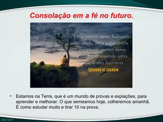 Consolação em a fé no futuro.
• Estamos na Terra, que é um mundo de provas e expiações, para
aprender e melhorar. O que semeamos hoje, colheremos amanhã.
É como estudar muito e tirar 10 na prova.
 
