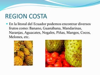 REGION COSTA
 En la litoral del Ecuador podemos encontrar diversos
frutos como: Banano, Guanábana, Mandarinas,
Naranjas, Aguacates, Nogales, Piñas, Mangos, Cocos,
Melones, etc.
 