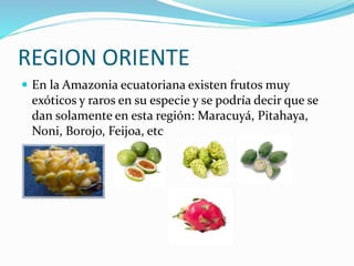 REGION ORIENTE
 En la Amazonia ecuatoriana existen frutos muy
exóticos y raros en su especie y se podría decir que se
dan solamente en esta región: Maracuyá, Pitahaya,
Noni, Borojo, Feijoa, etc
 