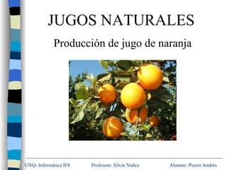 UNQ- Informática IF8  Profesora: Silvia Nuñez  Alumno: Puzzo Andrés JUGOS NATURALES Producción de jugo de naranja 