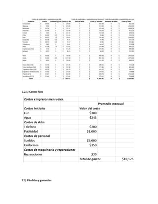 7.2.1) Costos fijos
7.3) Pérdidasy ganancias
 