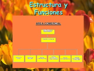 Estructura y Funciones 