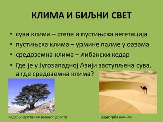 КЛИМА И БИЉНИ СВЕТ
• сува клима – степе и пустињска вегетација
• пустињска клима – урмине палме у оазама
• средоземна клима – либански кедар
• Где је у Југозападној Азији заступљена сува,
а где средоземна клима?
кедар је врста зимзеленог дрвета једногрба камила
 