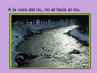 A la vora del riu, no et facis el niu. 