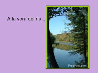 A la vora del riu ... 