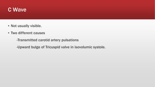 C Wave
▪ Not usually visible.
▪ Two different causes
-Transmitted carotid artery pulsations
-Upward bulge of Tricuspid valve in isovolumic systole.
 