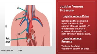 Jugular Venous
Pressure
• Jugular Venous Pulse
Defined as the oscillating
top of the ventricular
column of blood in right IJV
that reflects the phasic
pressure changes in the
right atrium in cardiac cycle.
• Jugular Venous
Pressure
Ventricle height of
oscillation column of blood
Sample Footer Text 20XX 3
 