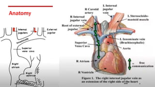 Anatomy
Sample Footer Text 20XX 4
 