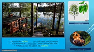 VIDEO CLIP by Toomax
• Describe the MÖKKI (cottage) you see in the picture above.
• Join the Finns in -> the Sauna. What can tell about it?
• What can you tell about the LUONTO (nature)?
Which tree is this?
What is happening here?
By VisitFinland_CC_BY-NC2.0
 