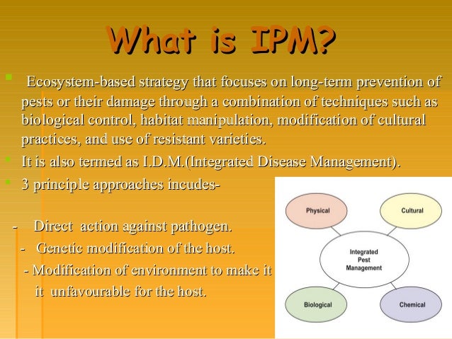 epub mba fundamentals