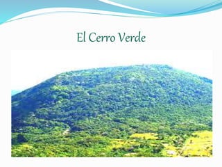 El Cerro Verde 
 