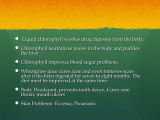  Liquid chlorophyll washes drug deposits from the body.Liquid chlorophyll washes drug deposits from the body.
 Chlorophyll neutralizes toxins in the body and purifiesChlorophyll neutralizes toxins in the body and purifies
the liverthe liver
 Chlorophyll improves blood sugar problems.Chlorophyll improves blood sugar problems.
 Wheatgrass juice cures acne and even removes scarsWheatgrass juice cures acne and even removes scars
after it his been ingested for seven to eight months. Theafter it his been ingested for seven to eight months. The
diet must be improved at the same time.diet must be improved at the same time.
 Body Deodarant, prevents tooth decay,.Cures soreBody Deodarant, prevents tooth decay,.Cures sore
throat, mouth ulcersthroat, mouth ulcers
 Skin Problems- Eczema, PsoariasisSkin Problems- Eczema, Psoariasis
 