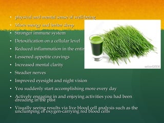 • physical and mental sense of well-beingphysical and mental sense of well-being
• More energy and better sleepMore energy and better sleep
• Stronger immune systemStronger immune system
• Detoxification on a cellular levelDetoxification on a cellular level
• Reduced inflammation in the entire bodyReduced inflammation in the entire body
• Lessened appetite cravingsLessened appetite cravings
• Increased mental clarityIncreased mental clarity
• Steadier nervesSteadier nerves
• Improved eyesight and night visionImproved eyesight and night vision
• You suddenly start accomplishing more every dayYou suddenly start accomplishing more every day
• Actively engaging in and enjoying activities you had beenActively engaging in and enjoying activities you had been
dreading in the pastdreading in the past
• Visually seeing results via live blood cell analysis such as theVisually seeing results via live blood cell analysis such as the
unclumping of oxygen-carrying red blood cellsunclumping of oxygen-carrying red blood cells
 