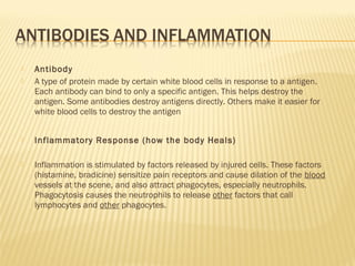  Antibody
 A type of protein made by certain white blood cells in response to a antigen.
Each antibody can bind to only a specific antigen. This helps destroy the
antigen. Some antibodies destroy antigens directly. Others make it easier for
white blood cells to destroy the antigen
 Inflammatory Response (how the body Heals)
 Inflammation is stimulated by factors released by injured cells. These factors
(histamine, bradicine) sensitize pain receptors and cause dilation of the blood
vessels at the scene, and also attract phagocytes, especially neutrophils.
Phagocytosis causes the neutrophils to release other factors that call
lymphocytes and other phagocytes.
 