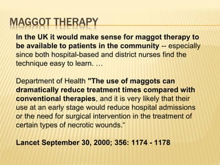 In the UK it would make sense for maggot therapy to
be available to patients in the community -- especially
since both hospital-based and district nurses find the
technique easy to learn. …
Department of Health "The use of maggots can
dramatically reduce treatment times compared with
conventional therapies, and it is very likely that their
use at an early stage would reduce hospital admissions
or the need for surgical intervention in the treatment of
certain types of necrotic wounds.“
Lancet September 30, 2000; 356: 1174 - 1178
 