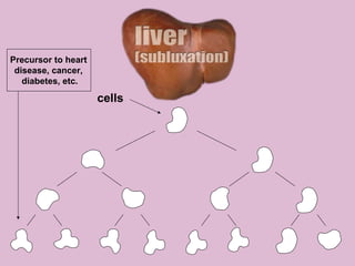 cells
Precursor to heart
disease, cancer,
diabetes, etc.
 