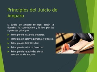Principios del Juicio de
Amparo
El juicio de amparo se rige, según la
doctrina, la constitución y la ley, por los
siguientes principios:
 Principio de instancia de parte.
 Principio de agravio personal y directo.
 Principio de definitividad.
 Principio de estricto derecho.
 Principio de relatividad de las
sentencias de amparo.
 
