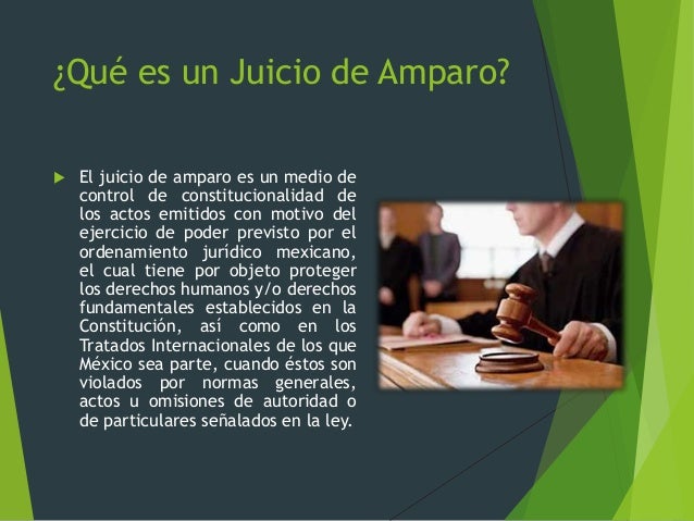 Ensayo Sobre El Juicio De Amparo