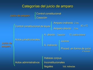 Juicio de amparo (buenisimo) | PPTX