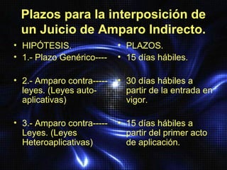 Juicio de amparo indirecto | PPT