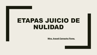ETAPAS JUICIO DE
NULIDAD
Mtra. Araceli Camacho Flores.
 
