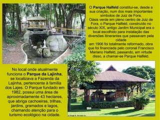 No local onde atualmente
funciona o Parque da Lajinha,
se localizava a Fazenda da
Lajinha, pertencente à família
dos Lajes. O Parque fundado em
1982, possui uma área de
aproximadamente 43 hectares,
que abriga cachoeiras, trilhas,
jardins, gramados e lagos,
chamando atenção para o
turismo ecológico na cidade.
O Parque Halfeld constitui-se, desde a
sua criação, num dos mais importantes
símbolos de Juiz de Fora.
Oásis verde em pleno centro de Juiz de
Fora, o Parque Halfeld, construído no
século XIX, antigo Jardim Municipal era o
local escolhido para instalação das
diversões itinerantes que passavam pela
cidade
em 1906 foi totalmente reformado, obra
que foi financiada pelo coronel Francisco
Mariano Halfeld, passando, em virtude
disso, a chamar-se Parque Halfeld.
 