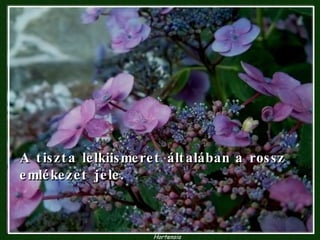 A tiszta lelkiismeret általában a rossz emlékezet jele. 