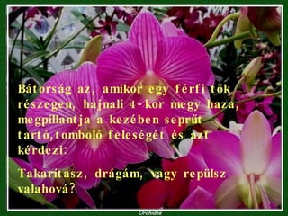 Bátorság az, amikor egy férfi tök részegen, hajnali 4-kor megy haza, megpillantja a kezében seprűt tartó,tomboló feleségét és azt kérdezi: Takarítasz, drágám, vagy repülsz valahová? 