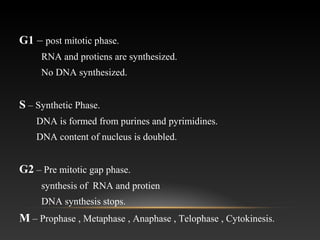 G1 – post mitotic phase.
RNA and protiens are synthesized.
No DNA synthesized.
S – Synthetic Phase.
DNA is formed from purines and pyrimidines.
DNA content of nucleus is doubled.
G2 – Pre mitotic gap phase.
synthesis of RNA and protien
DNA synthesis stops.
M – Prophase , Metaphase , Anaphase , Telophase , Cytokinesis.
 