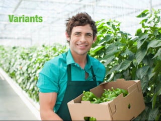 Juju - Scalable Software with Google Go