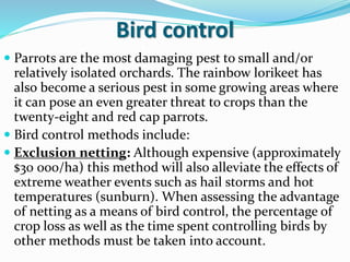 Bird control
 Parrots are the most damaging pest to small and/or
relatively isolated orchards. The rainbow lorikeet has
also become a serious pest in some growing areas where
it can pose an even greater threat to crops than the
twenty-eight and red cap parrots.
 Bird control methods include:
 Exclusion netting: Although expensive (approximately
$30 000/ha) this method will also alleviate the effects of
extreme weather events such as hail storms and hot
temperatures (sunburn). When assessing the advantage
of netting as a means of bird control, the percentage of
crop loss as well as the time spent controlling birds by
other methods must be taken into account.
 