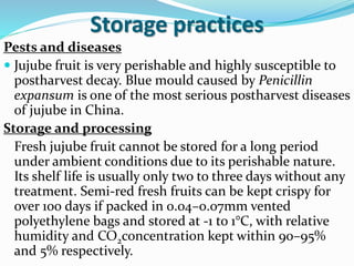 Storage practices
Pests and diseases
 Jujube fruit is very perishable and highly susceptible to
postharvest decay. Blue mould caused by Penicillin
expansum is one of the most serious postharvest diseases
of jujube in China.
Storage and processing
Fresh jujube fruit cannot be stored for a long period
under ambient conditions due to its perishable nature.
Its shelf life is usually only two to three days without any
treatment. Semi-red fresh fruits can be kept crispy for
over 100 days if packed in 0.04–0.07mm vented
polyethylene bags and stored at -1 to 1°C, with relative
humidity and CO2concentration kept within 90–95%
and 5% respectively.
 